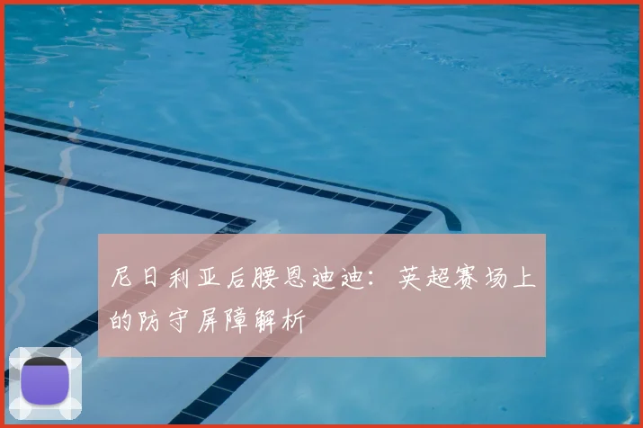 尼日利亚后腰恩迪迪：英超赛场上的防守屏障解析